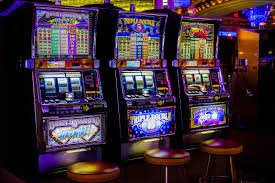 rpiv5 ekosistem permainan lengkap live casino dan tembak ikan
